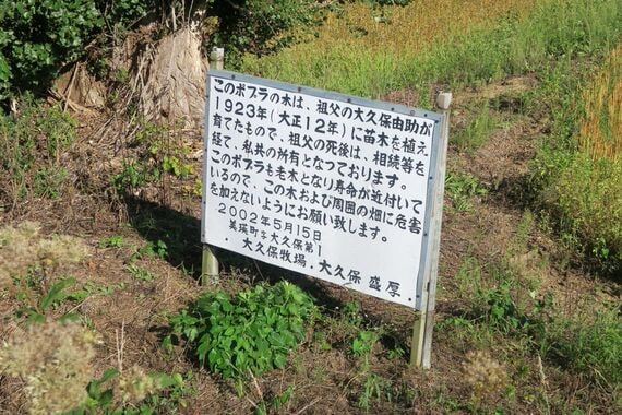 「ケンとメリー」の木の脇にあった説明看板（筆者撮影）