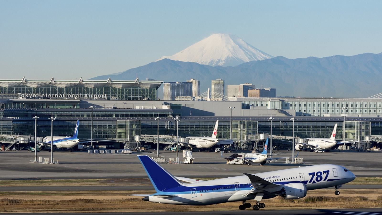 羽田空港に「カレー愛好家」が足を止める理由 エアライン・航空機 東洋経済オンライン 経済ニュースの新基準