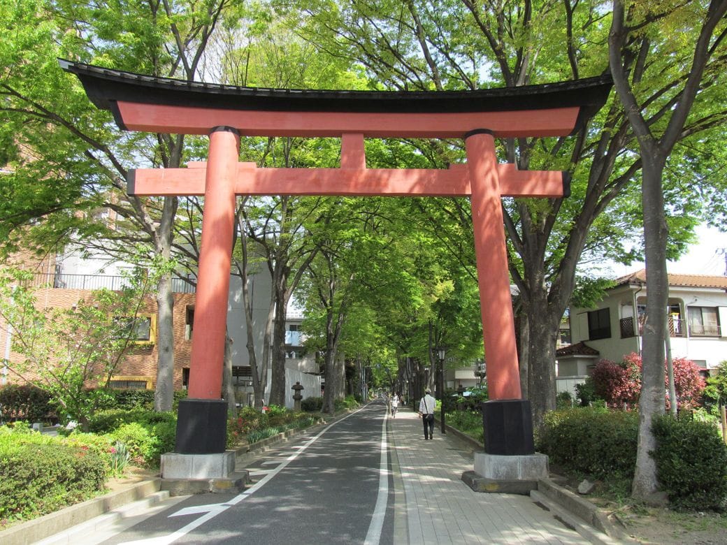 氷川神社へ向かう氷川参道（写真：うげい／PIXTA）