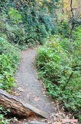 高尾山の登山コース。アクセスしやすいが、舗装されていないところも当然あり、事故につながる危険も（写真：週刊女性PRIME）