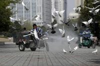 鳥インフル｢世界大流行のシグナル見逃すな｣ WHOが加盟国に｢厳重な警戒｣を呼びかけ