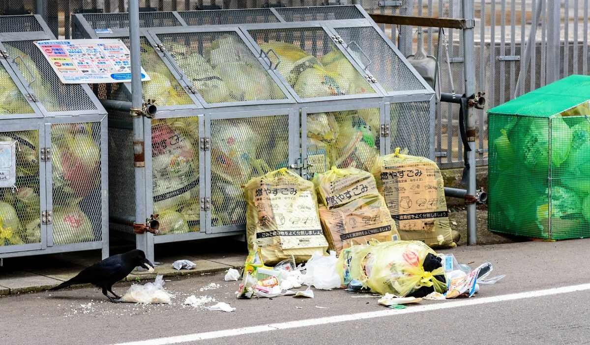 ゴミ出しが雑な地域ほど 民度が低い 根拠 街 住まい 東洋経済オンライン 社会をよくする経済ニュース