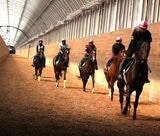 集団でトレーニングしている様子