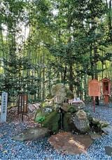 神社の神聖な湧き水