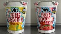 ｢冷水だけで食べられる｣｢災害時に重宝しそう｣…日清食品が発売｢冷しカップヌードル｣"熱湯からの解放"が意味すること