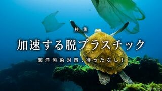 加速する脱プラスチック 海洋汚染対策、待ったなし！