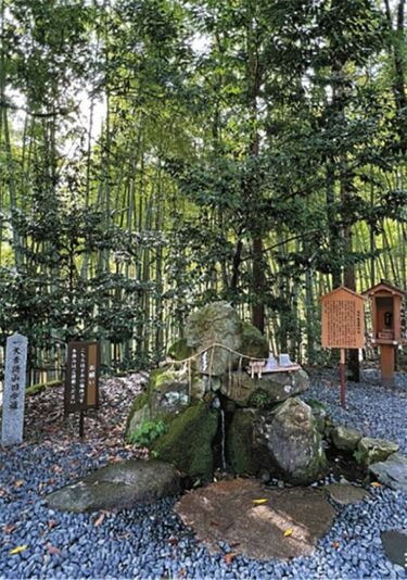 長崎🇯🇵女ひとり旅✈️ 魅力と異国情緒あふれる長崎を大満喫