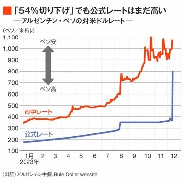 アルゼンチン新大統領は｢荒療治｣を貫けるのか ｢ドル化｣の痛み避ければ