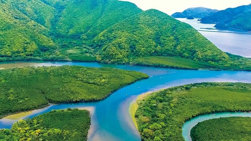 開発という名のもとに壊される自然と、法律のもとに守られる自然がある（写真：OCEANS編集部）この記事の画像を見る(◯枚)