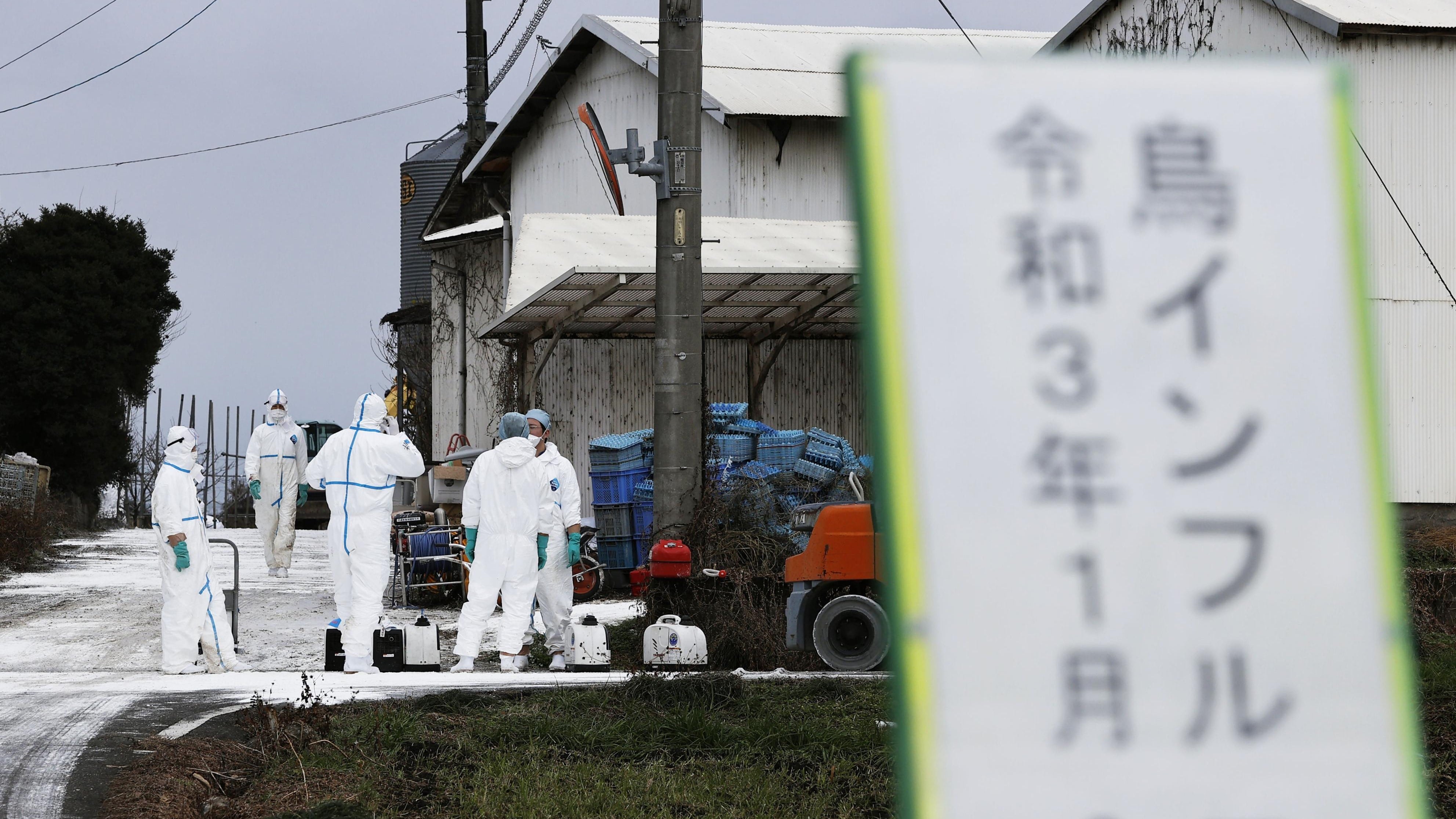 コロナ禍に新たな脅威 新型インフル に要警戒 新型コロナ 長期戦の混沌 東洋経済オンライン 社会をよくする経済ニュース