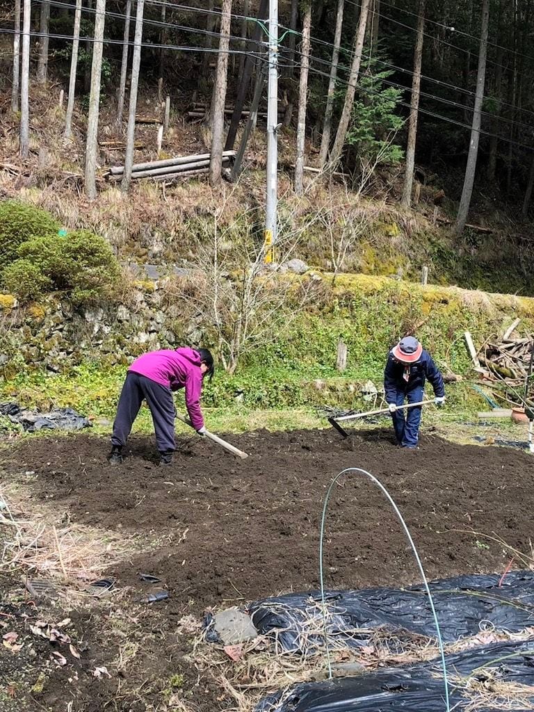 濱井正吾 浪人 双子 東大 京大
