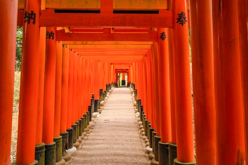 光る君へ 大河ドラマ 清少納言