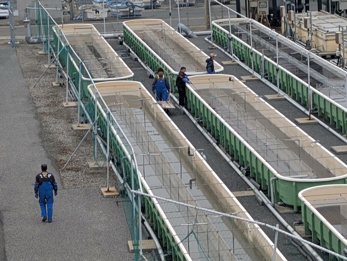 点検する従業員たち
