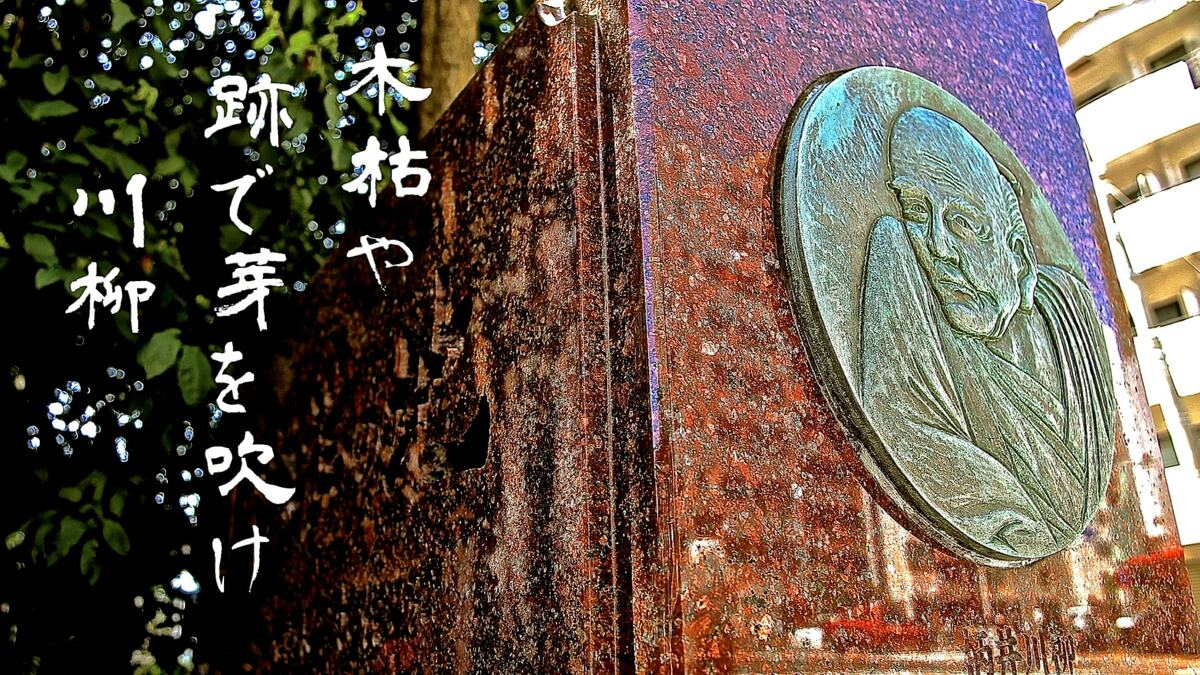 実は人名､16代目｢川柳｣が