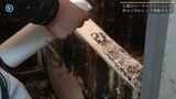 ゴミ屋敷