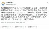 心を麻痺させて耐えても反動が来るだけだと語るぱやぱやくん（画像：ぱやぱやくんTwitterより）