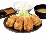 からやま からやま定食