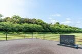 光る君へ 大河ドラマ 藤原隆家
