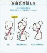 （画像：『世界一わかりやすい 筋肉のつながり図鑑セルフケア編』より）