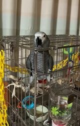 （写真提供：カマタさん）