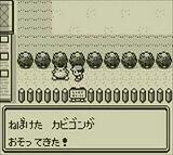 ポケモンのプレー画面2