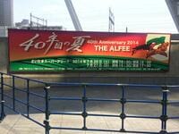 アルフィーはいつも群れているわけじゃない ｢社外｣の人と積極交流､｢社内｣にフィードバックせよ