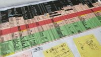 1時間1万円の家庭教師…｢過熱する中受の課金ゲーム｣を回避　『費用4割減･オンライン中心』で御三家合格した家族のリアル
