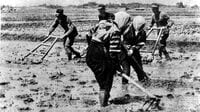 ｢米不足｣ゆえに至った太平洋戦争への回帰不能点