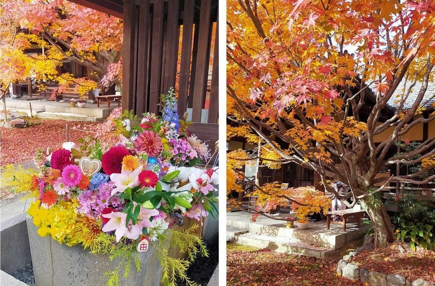 勝林寺の境内