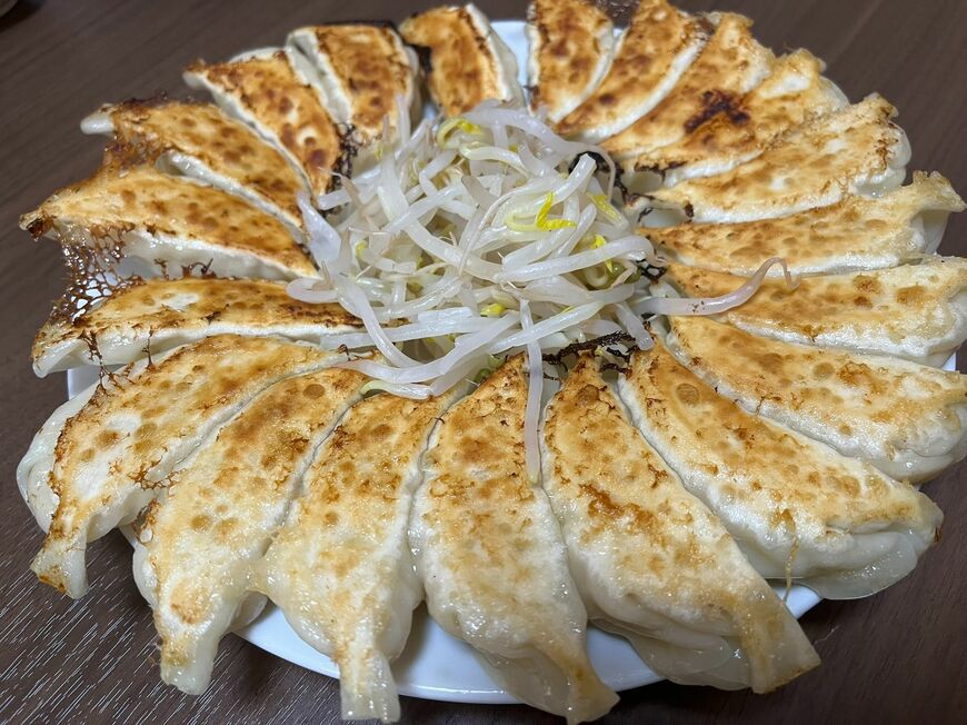 「円形焼き」の浜松餃子を「もやしトッピング」でいただきました（筆者撮影）