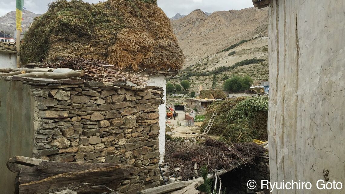 屋根に積まれた干し草（写真：筆者撮影）