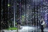 「最大多様の最大幸福」