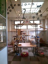 滋賀県動物保護センターの猫の運動場と対面場所（筆者撮影）