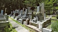 納骨形態はますます多様化 お墓購入･改葬の最新知識 人気の樹木葬､永代供養に要注意