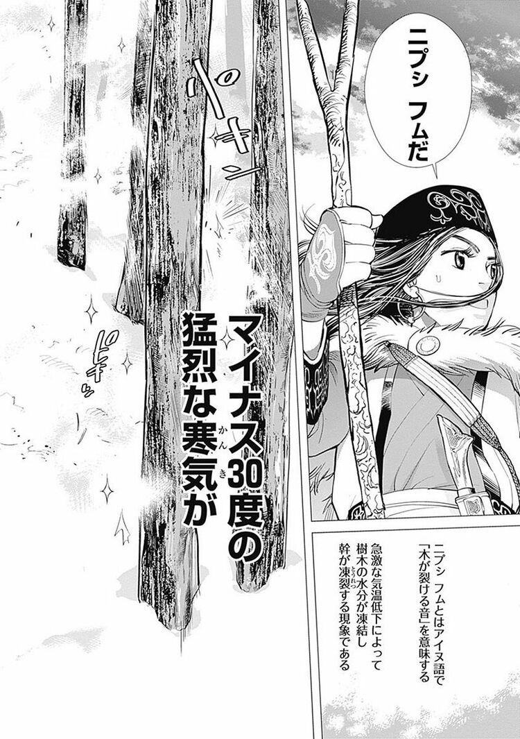 ゴールデンカムイ 漫画 ゴールデンカムイ 30 (ヤングジャンプコミックス) | 野田 サトル