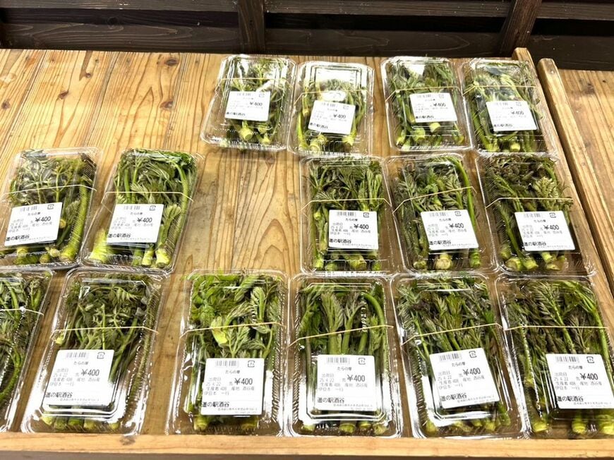 取材時は４月のため、山菜類が豊富だった。こちらはタラの芽。天ぷらにして食べるのが好きだ（筆者撮影）