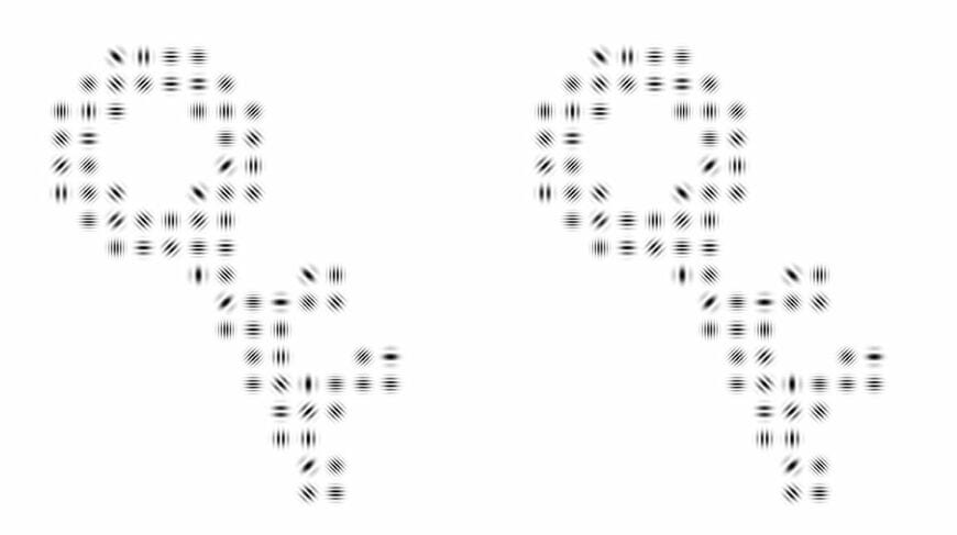 （出所）『1日3分まちがいさがしで目がよくなる！ ガボール・アイ』より