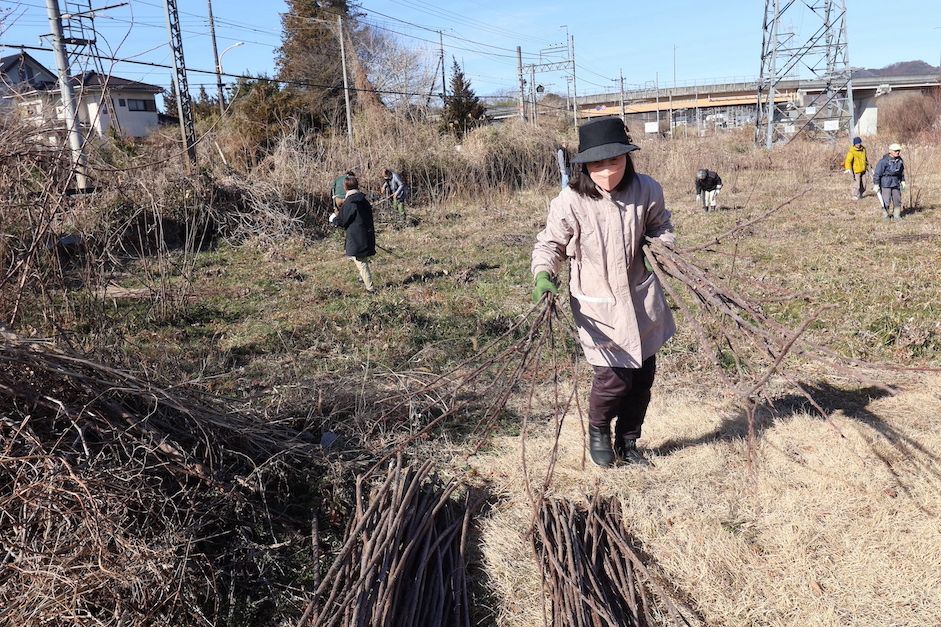 故フレイビンさんが作った楮畑で今年も刈り取り作業が行われた（撮影：河野博子）