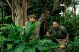「木の上の軍隊」
