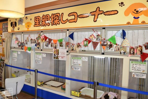 犬を売らないペット店が岡山で人気の事情 ペット 東洋経済オンライン 経済ニュースの新基準