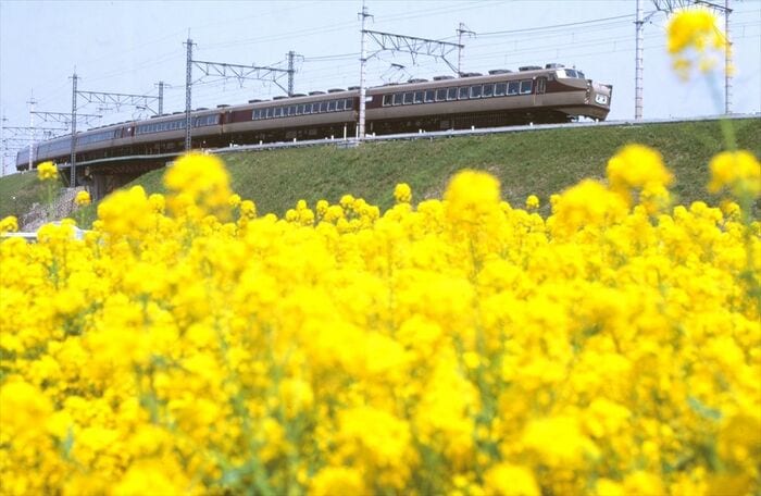 菜の花が咲き乱れる風景を行く東武DRC