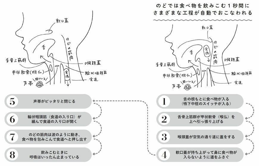 （出所：『自力でできる誤嚥性肺炎にならないためのリセット法』より）