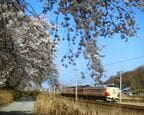 東北本線を走る485系「ひばり」