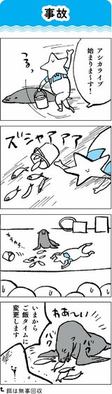 水族館飼育員のただならぬ裏側案内