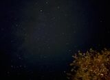  iPhone 13 Proで撮影した星空。加工なし、リサイズのみ（写真：LEON編集部）