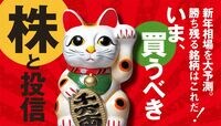 「下がらない日本株」に開けた展望と死角 21世紀の“未体験ゾーン”への突入も