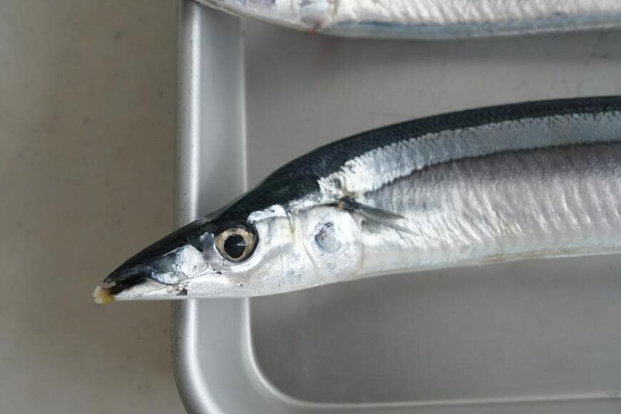 くちばし