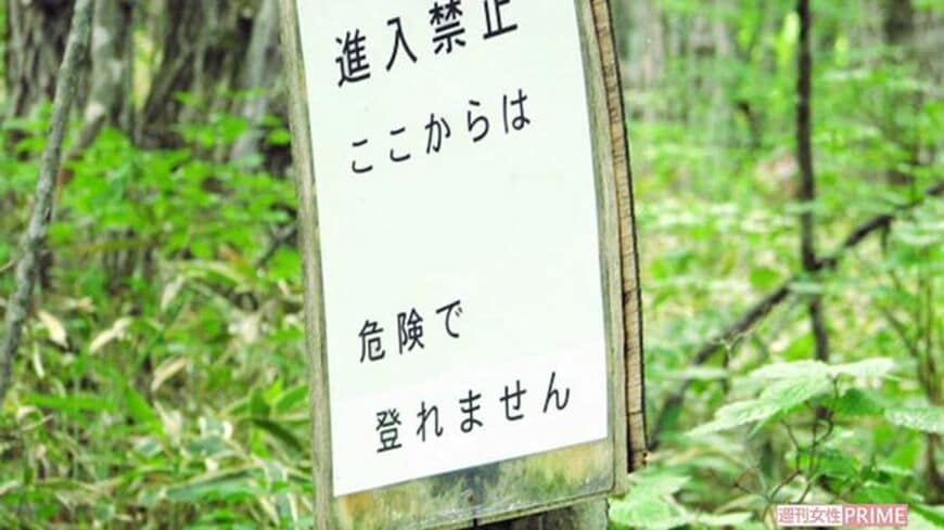 山には危険がいっぱい（写真：週刊女性PRIME）