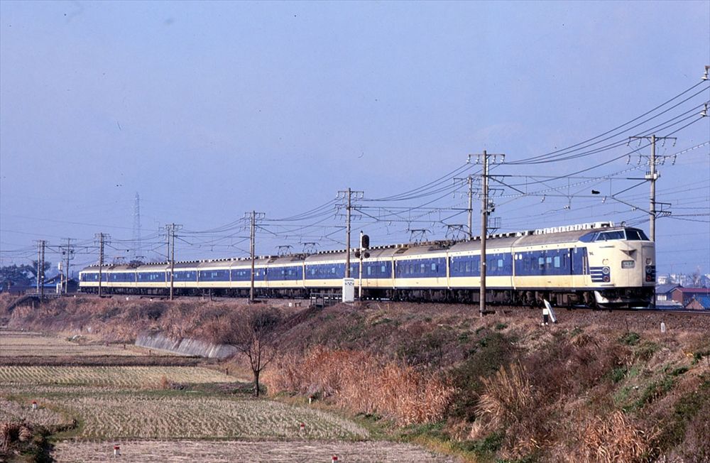 583系の「しらさぎ」（筆者撮影）