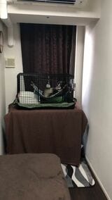 （写真提供：ミキさん）